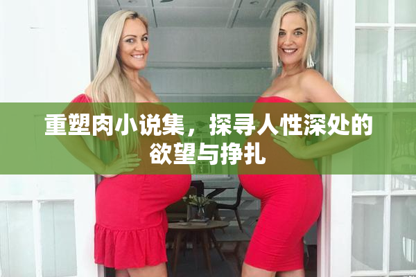 重塑肉小说集，探寻人性深处的欲望与挣扎