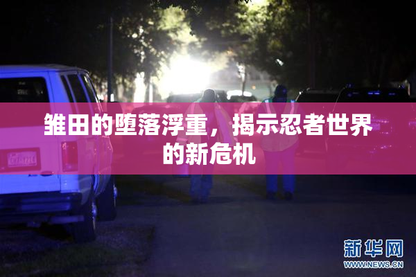 雏田的堕落浮重，揭示忍者世界的新危机