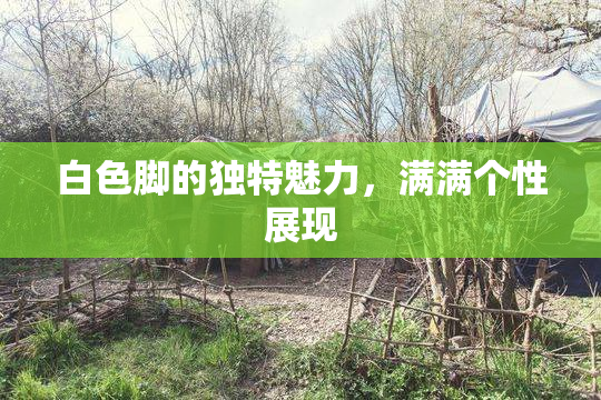 白色脚的独特魅力，满满个性展现