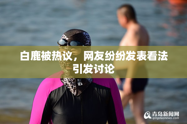 白鹿被热议，网友纷纷发表看法引发讨论