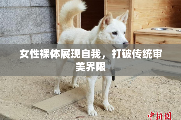 女性裸体展现自我，打破传统审美界限