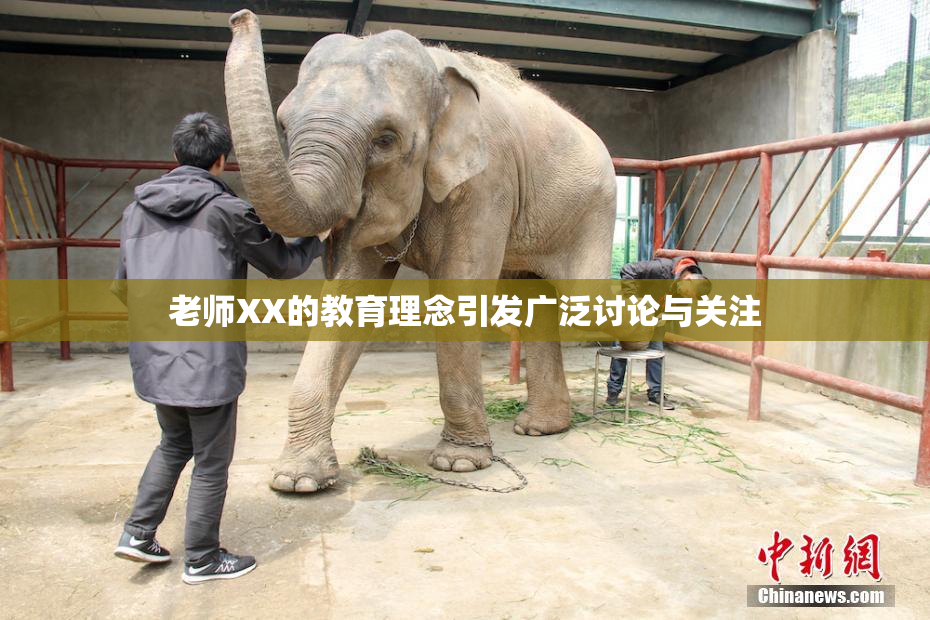 老师XX的教育理念引发广泛讨论与关注