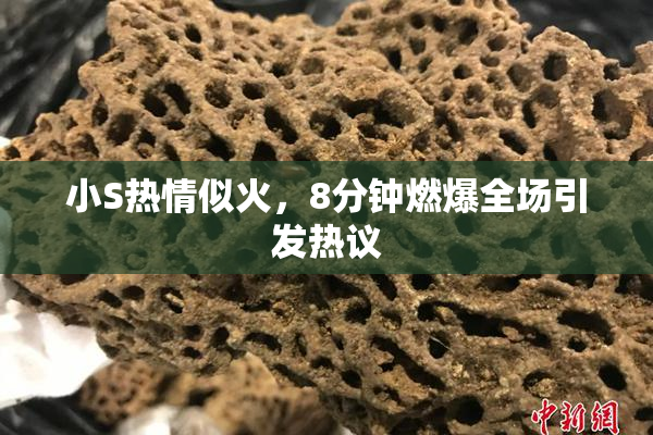 小S热情似火，8分钟燃爆全场引发热议