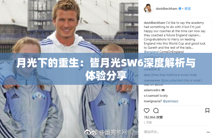 月光下的重生：皆月光SW6深度解析与体验分享