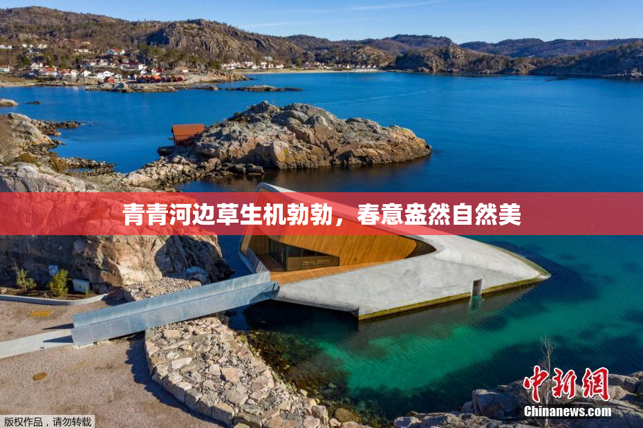 青青河边草生机勃勃，春意盎然自然美