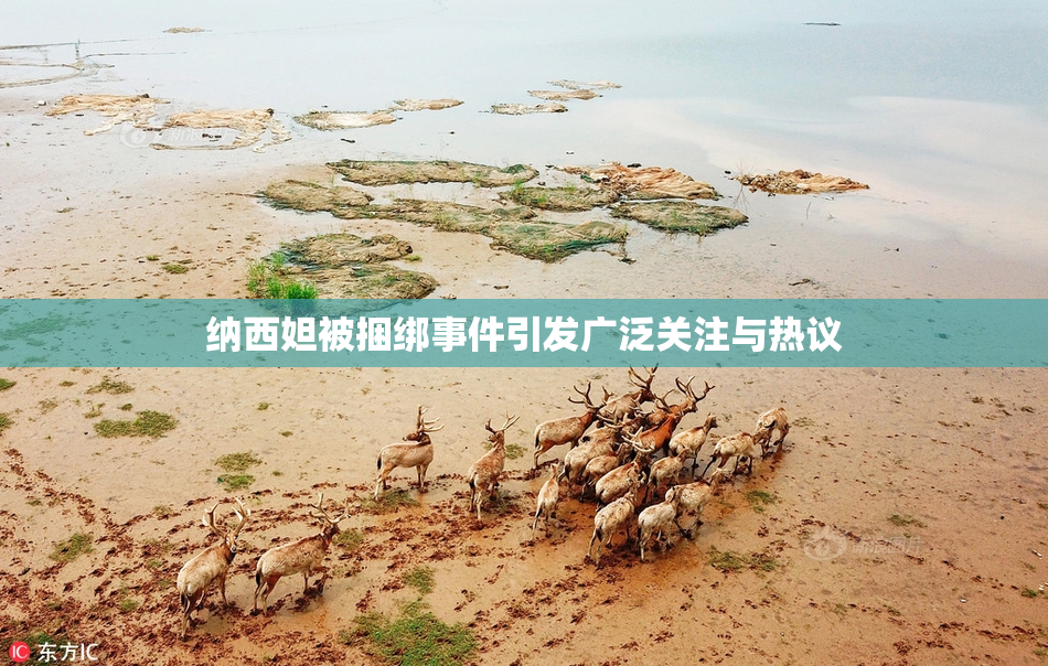 纳西妲被捆绑事件引发广泛关注与热议