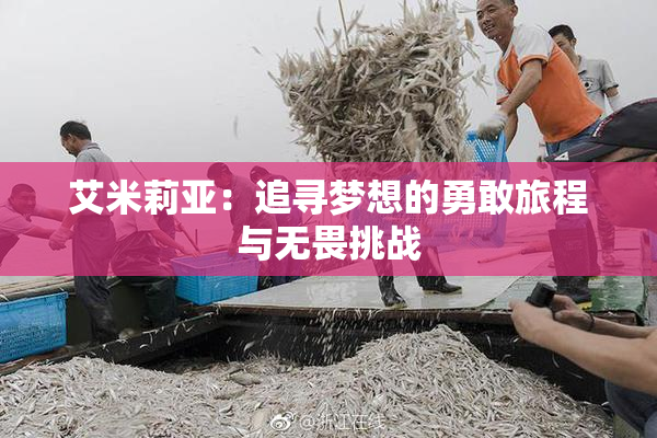 艾米莉亚：追寻梦想的勇敢旅程与无畏挑战
