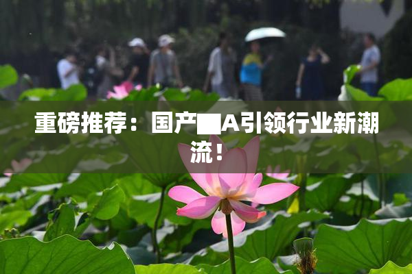 重磅推荐：国产▇A引领行业新潮流！