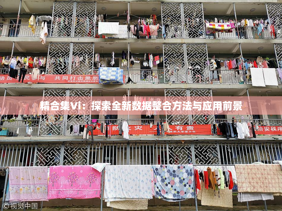 精合集Vi：探索全新数据整合方法与应用前景