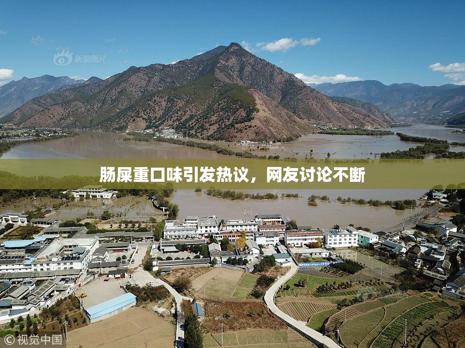 肠屎重口味引发热议，网友讨论不断