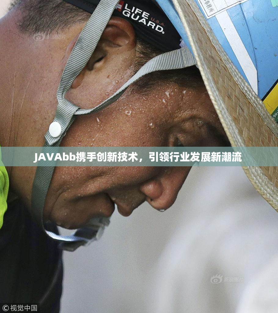 JAVAbb携手创新技术，引领行业发展新潮流