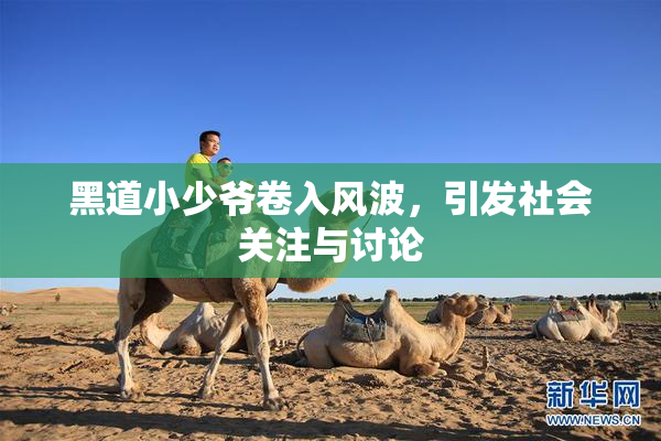 黑道小少爷卷入风波，引发社会关注与讨论