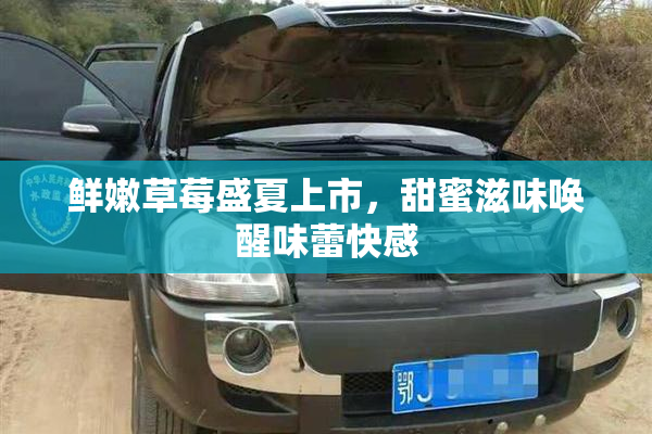 鲜嫩草莓盛夏上市，甜蜜滋味唤醒味蕾快感