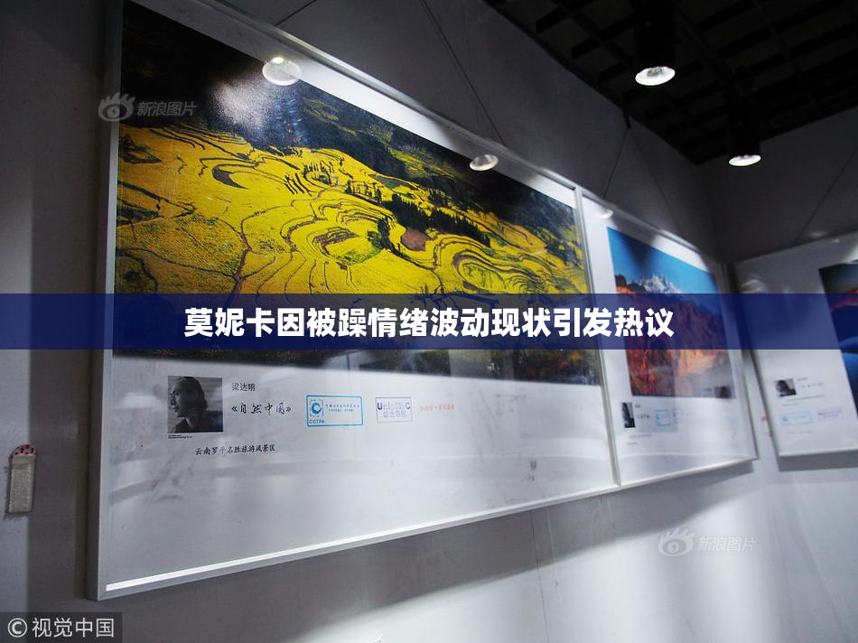 莫妮卡因被躁情绪波动现状引发热议