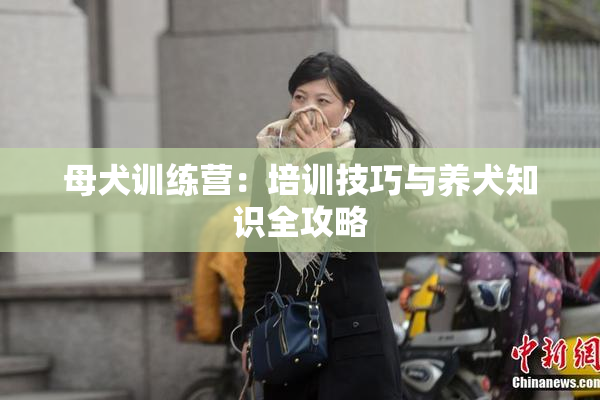 母犬训练营：培训技巧与养犬知识全攻略