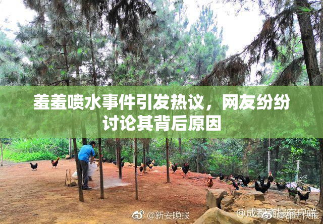 羞羞喷水事件引发热议，网友纷纷讨论其背后原因