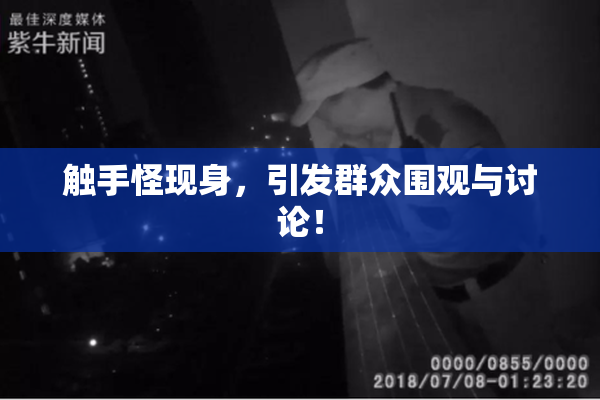 触手怪现身，引发群众围观与讨论！