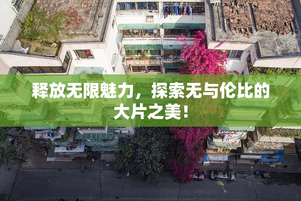 释放无限魅力，探索无与伦比的大片之美！