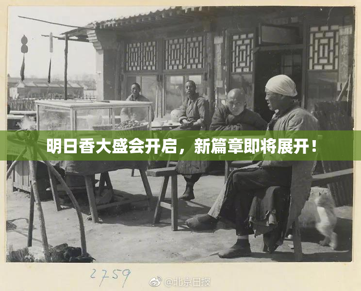 明日香大盛会开启，新篇章即将展开！