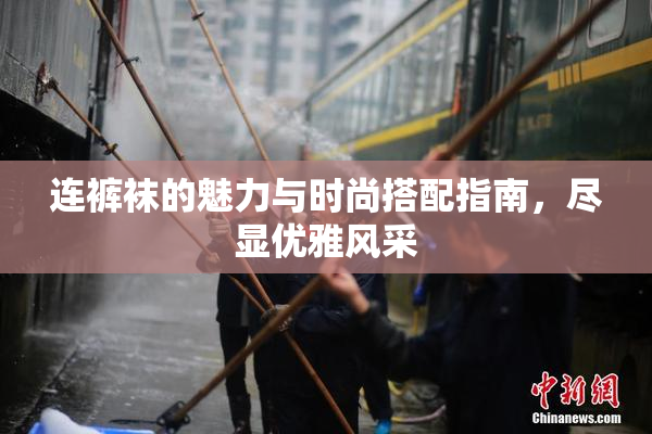 连裤袜的魅力与时尚搭配指南，尽显优雅风采