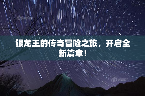 银龙王的传奇冒险之旅，开启全新篇章！