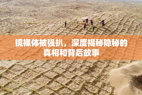 镜裸体被强扒，深度揭秘隐秘的真相和背后故事