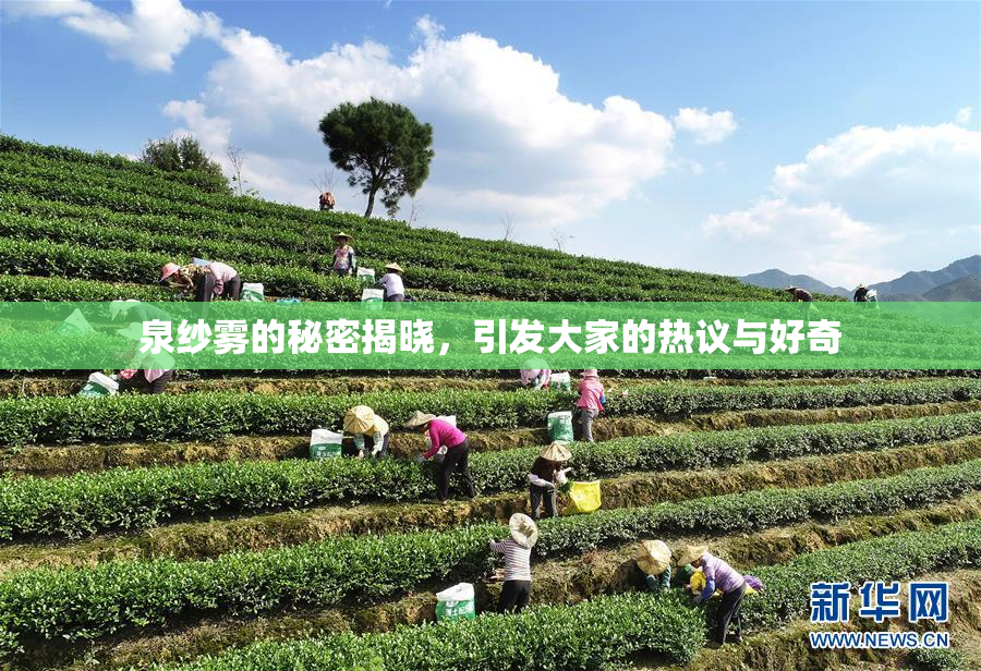 泉纱雾的秘密揭晓，引发大家的热议与好奇