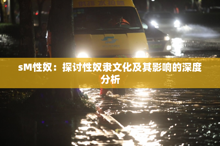 sM性奴：探讨性奴隶文化及其影响的深度分析