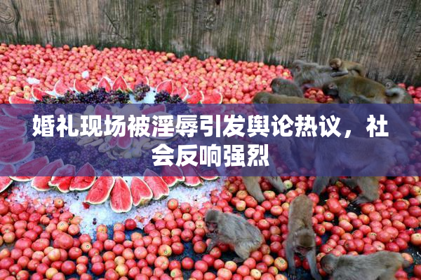 婚礼现场被淫辱引发舆论热议，社会反响强烈