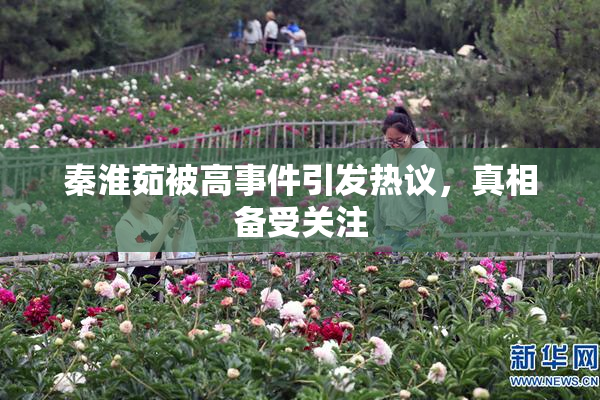 秦淮茹被高事件引发热议，真相备受关注