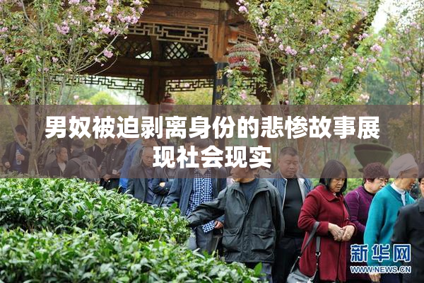 男奴被迫剥离身份的悲惨故事展现社会现实
