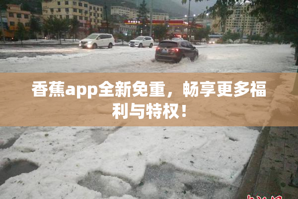 香蕉app全新免重，畅享更多福利与特权！