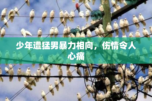 少年遭猛男暴力相向，伤情令人心痛