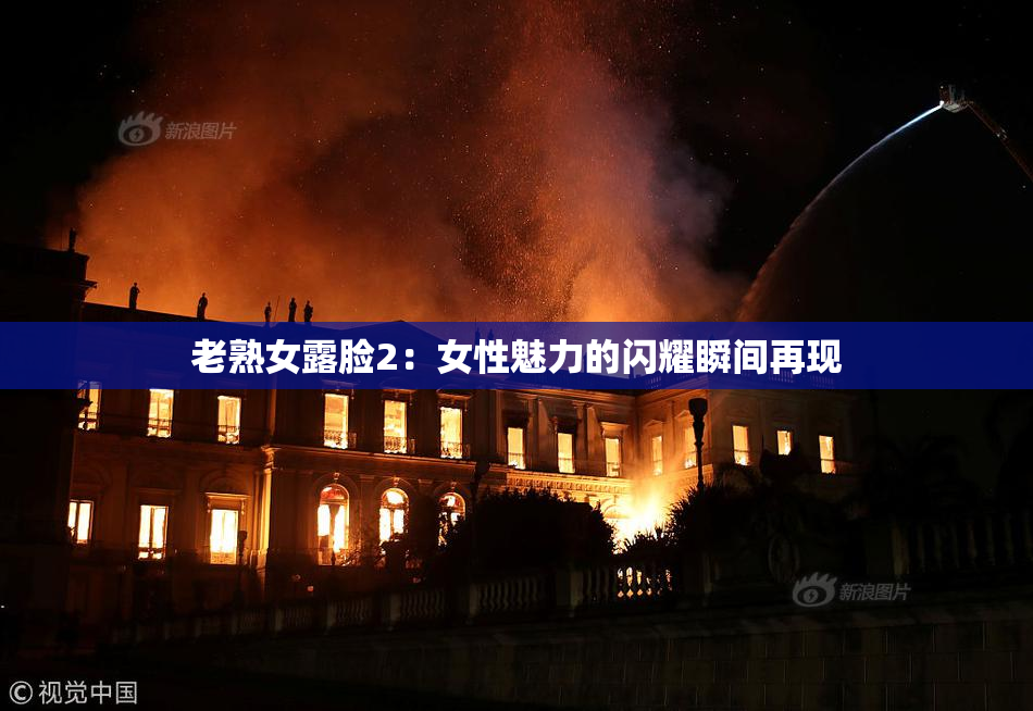 老熟女露脸2：女性魅力的闪耀瞬间再现