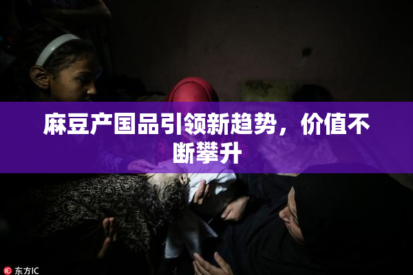 麻豆产国品引领新趋势，价值不断攀升