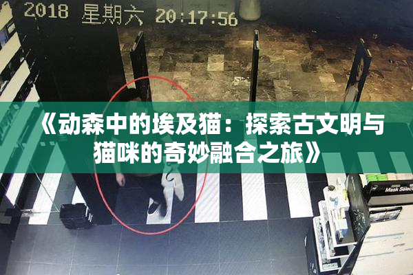 《动森中的埃及猫：探索古文明与猫咪的奇妙融合之旅》