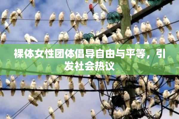 裸体女性团体倡导自由与平等，引发社会热议