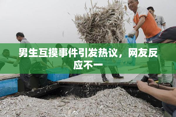 男生互摸事件引发热议，网友反应不一