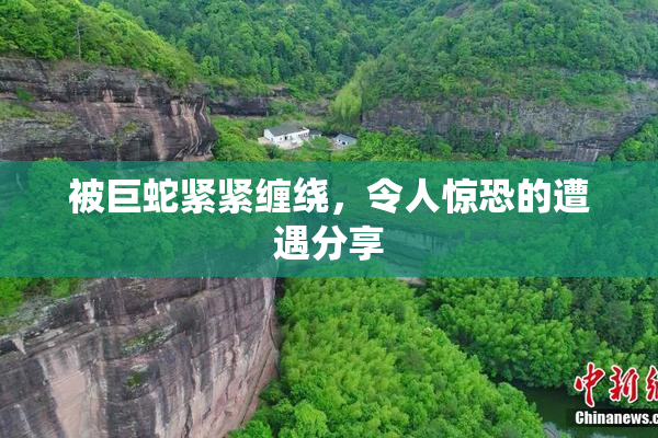 被巨蛇紧紧缠绕，令人惊恐的遭遇分享