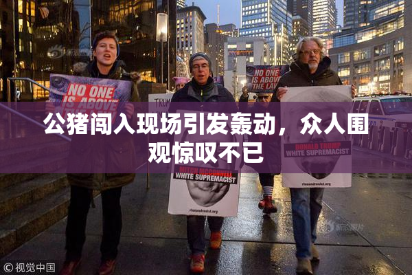 公猪闯入现场引发轰动，众人围观惊叹不已
