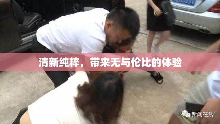 清新纯粹，带来无与伦比的体验