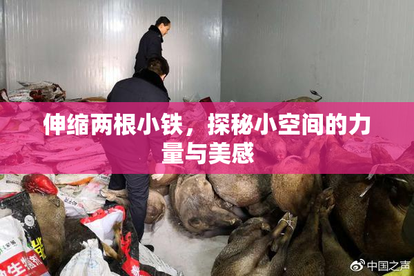伸缩两根小铁，探秘小空间的力量与美感