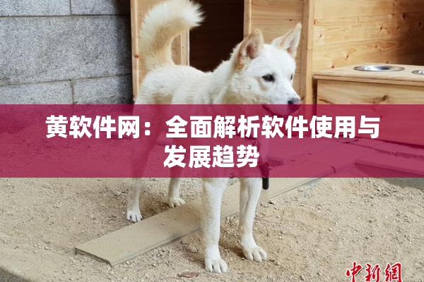 黄软件网：全面解析软件使用与发展趋势