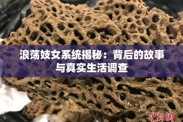 浪荡妓女系统揭秘：背后的故事与真实生活调查