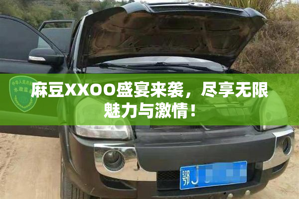 麻豆XXOO盛宴来袭，尽享无限魅力与激情！