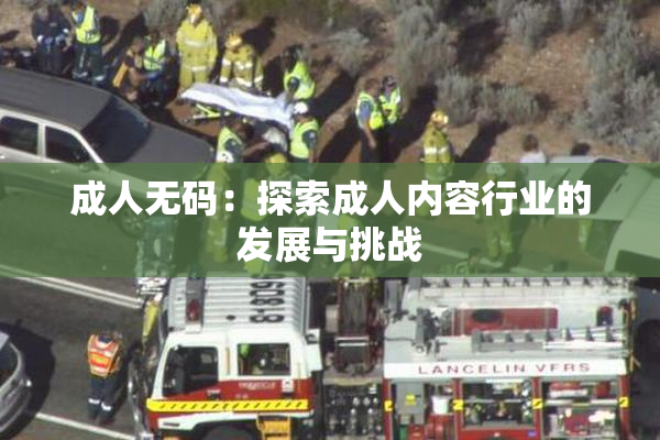 成人无码：探索成人内容行业的发展与挑战