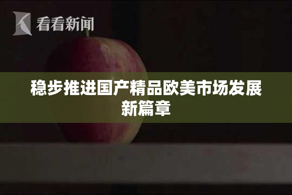 稳步推进国产精品欧美市场发展新篇章