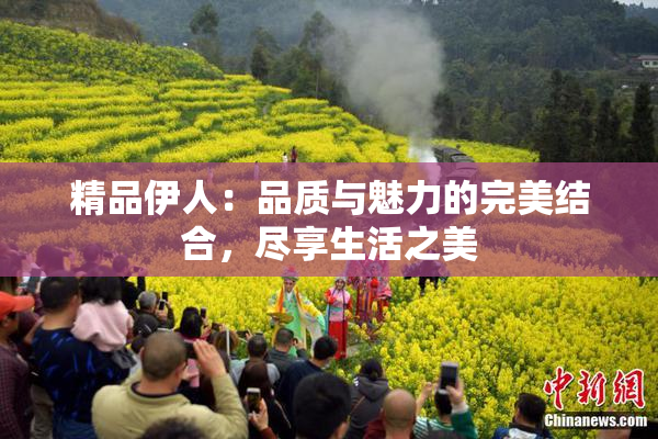精品伊人：品质与魅力的完美结合，尽享生活之美