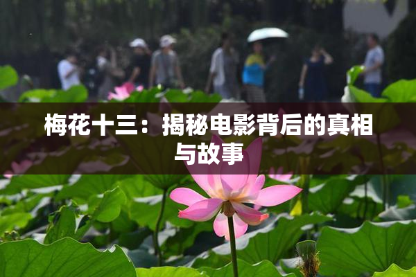 梅花十三：揭秘电影背后的真相与故事
