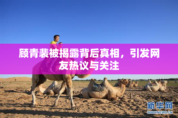顾青裴被揭露背后真相，引发网友热议与关注